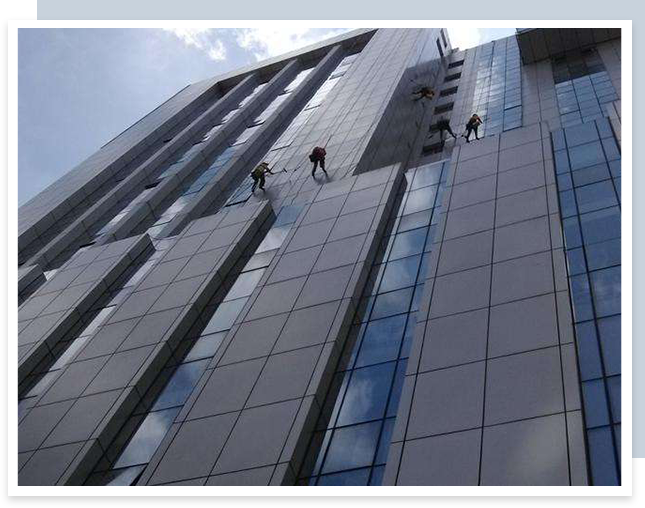 上海麻豆视频免费入口 上海麻豆视频免费入口